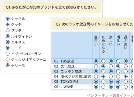 インターネット調査（定量調査）